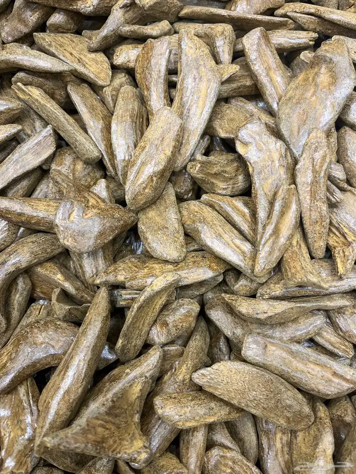 عود مروكي فاخر طبيعي محسن 0