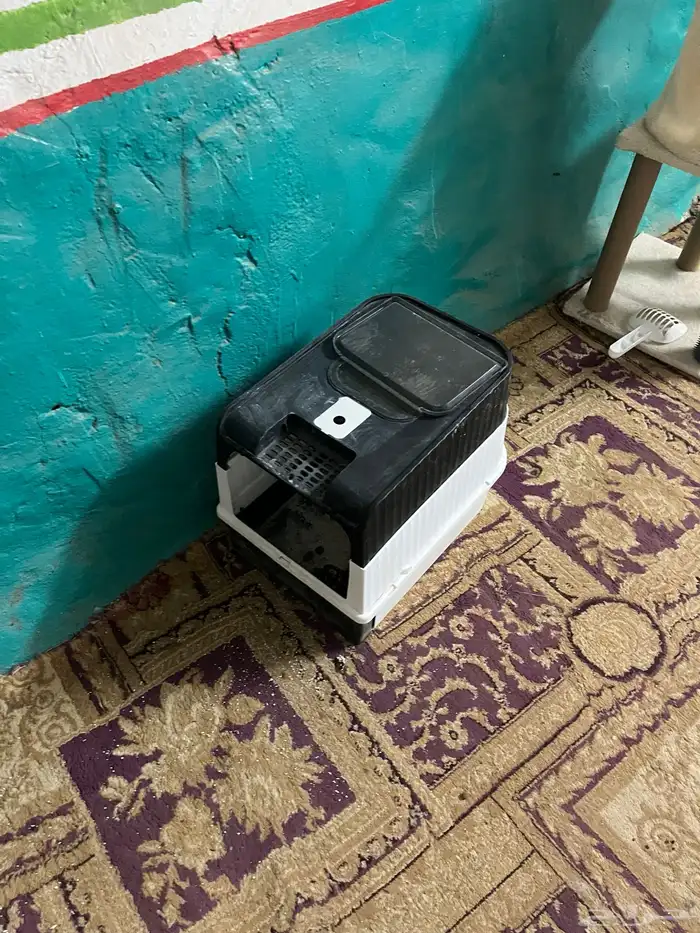 للبيع اغراض قطط 3