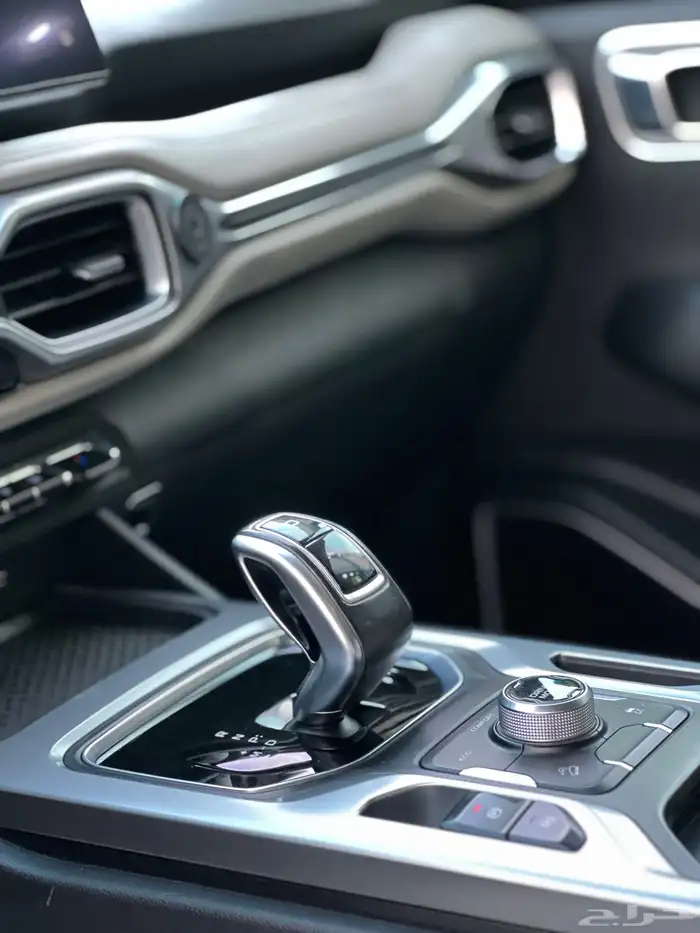 جيلي اوكافانجو 2023 5