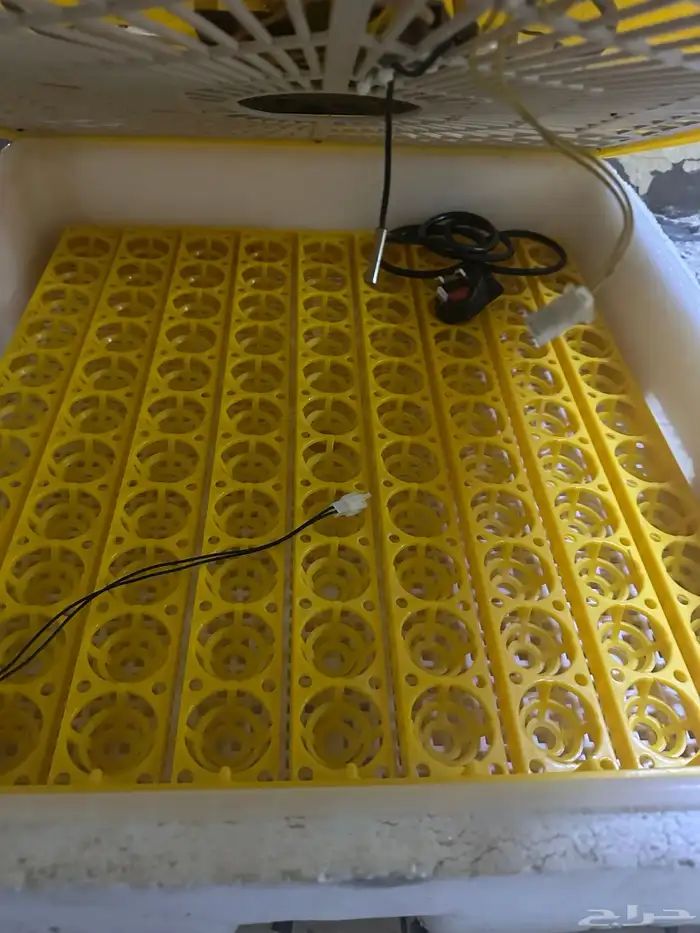 فقاسة للبيع المستعجل 1