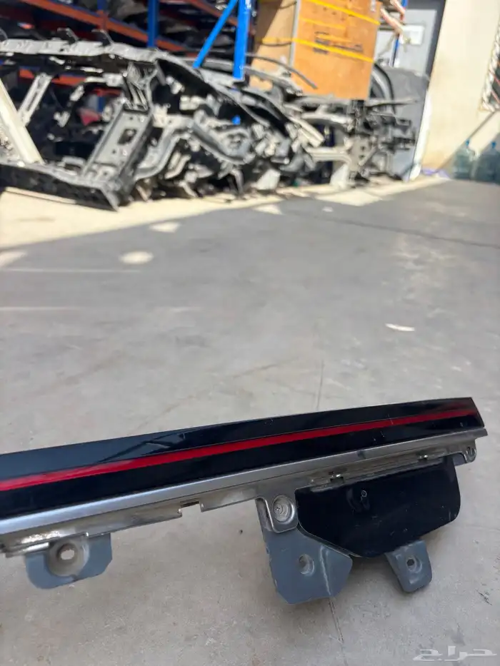 اسطب ازيرا 2024-2025 6