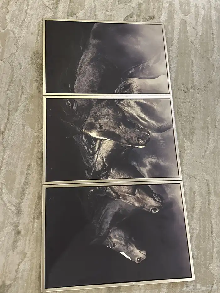 لوحة جديدة للبيع كبيرة 4