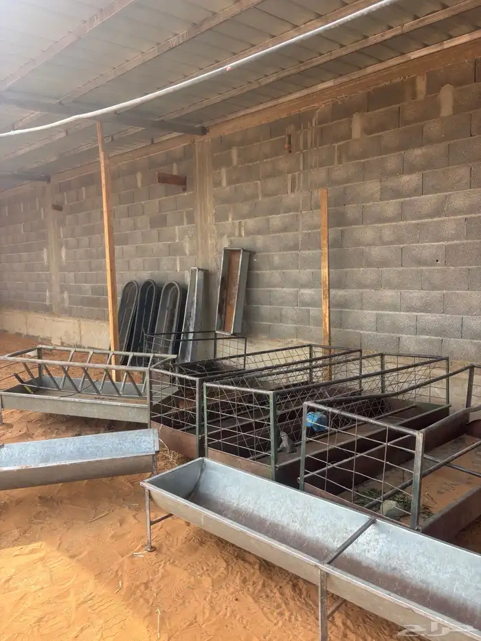 للبيع معالف غنم و معالف شعير 0