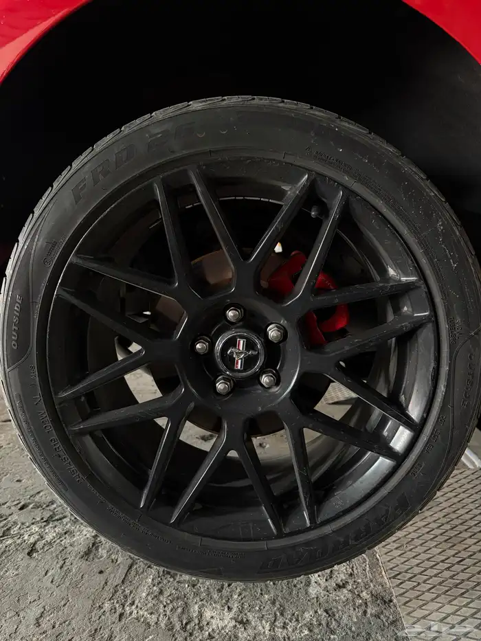 جنوط موستنج شلبي للبيع 0