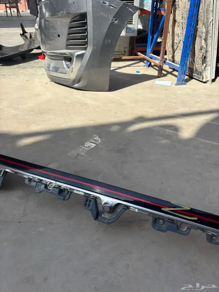 اسطب ازيرا 2024-2025 8