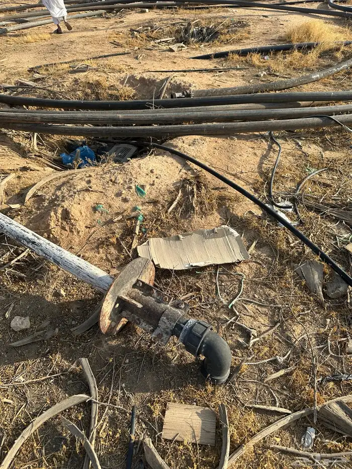 لي بير 3 بوصه 4