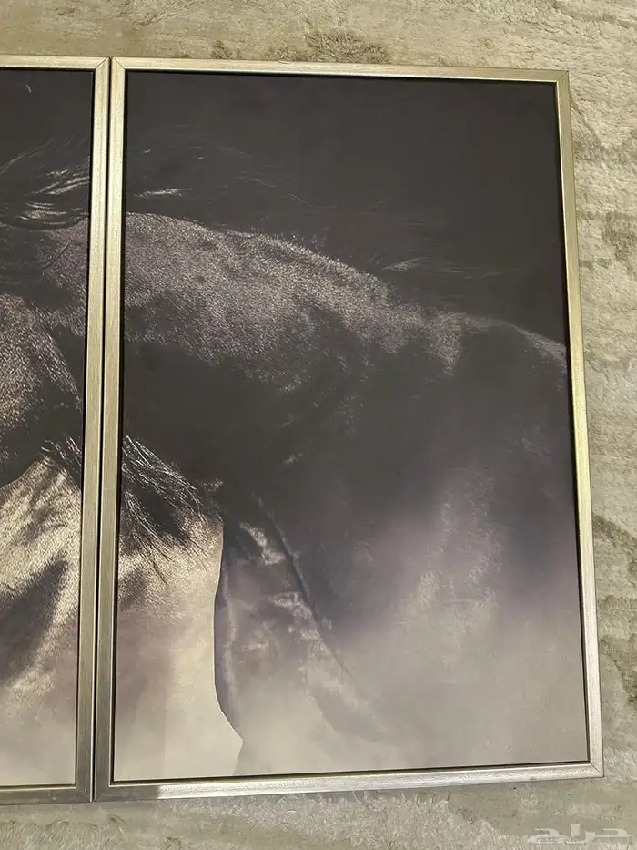 لوحة جديدة للبيع كبيرة 3