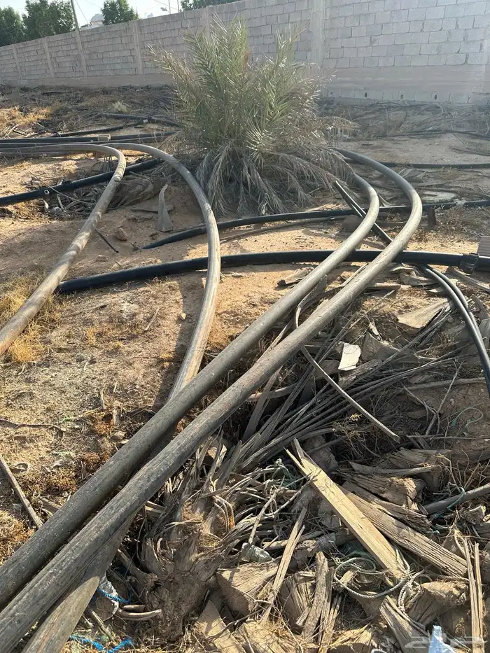 لي بير 3 بوصه 2