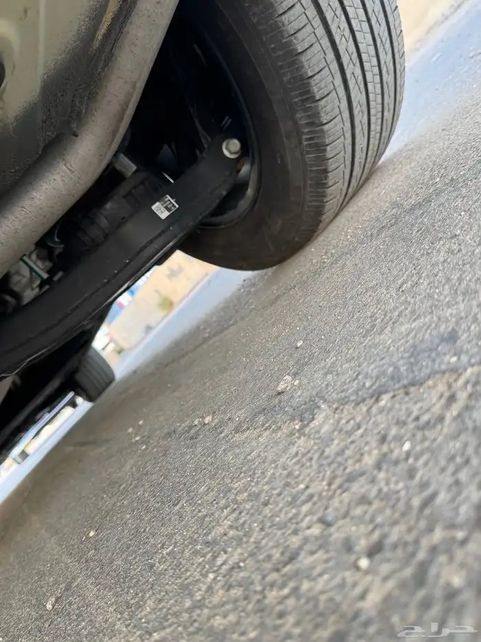 كرنفال 2021 ديزل 41