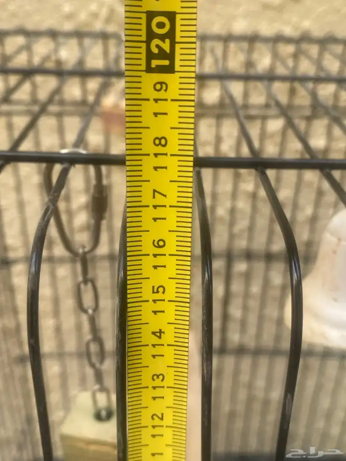 اقفاص طيور جديدة 6