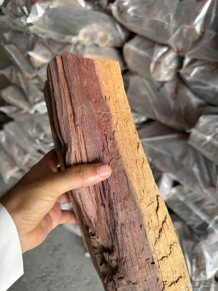 حطب سمر وقرض افريقي 1