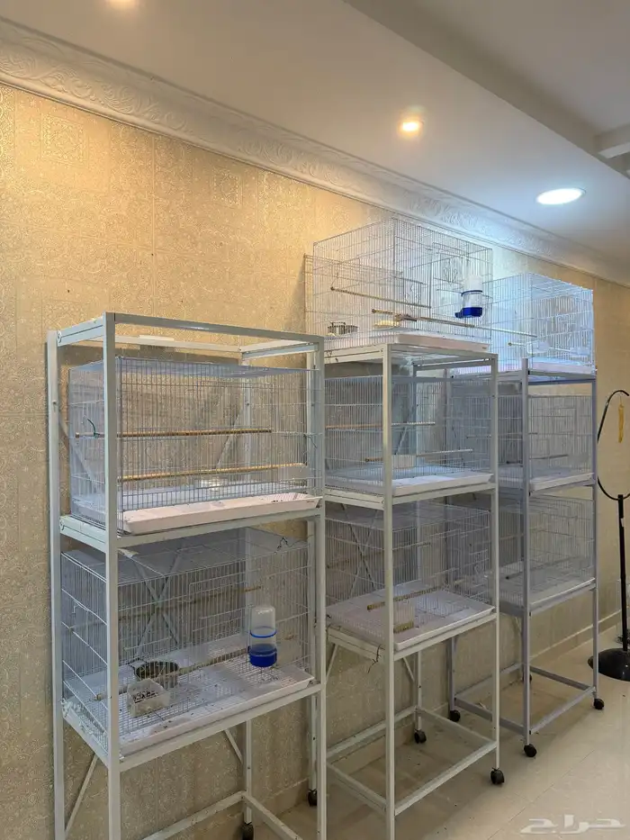 8 اقفاص 601 بحالة ممتازه جدا شبه جديده 0