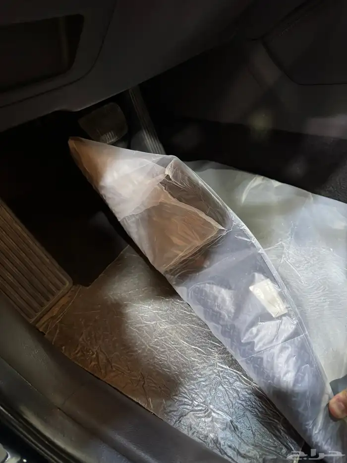 كادينزا 2019 13