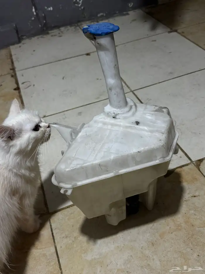 قرية مساحات النترا 1