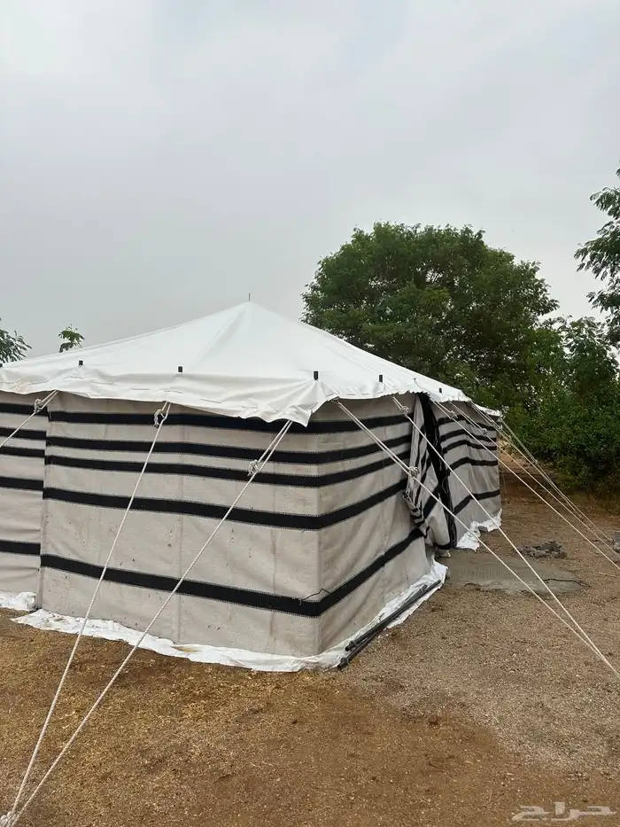 بيت شعر ابيض 5