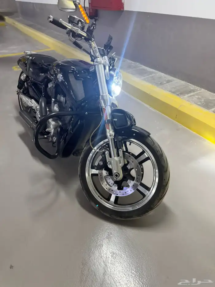 Harley V Rod Muscle Porsche 2013 5