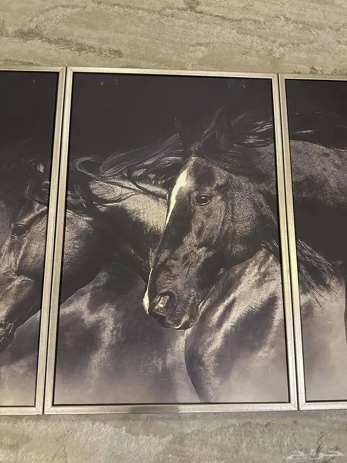 لوحة جديدة للبيع كبيرة 1