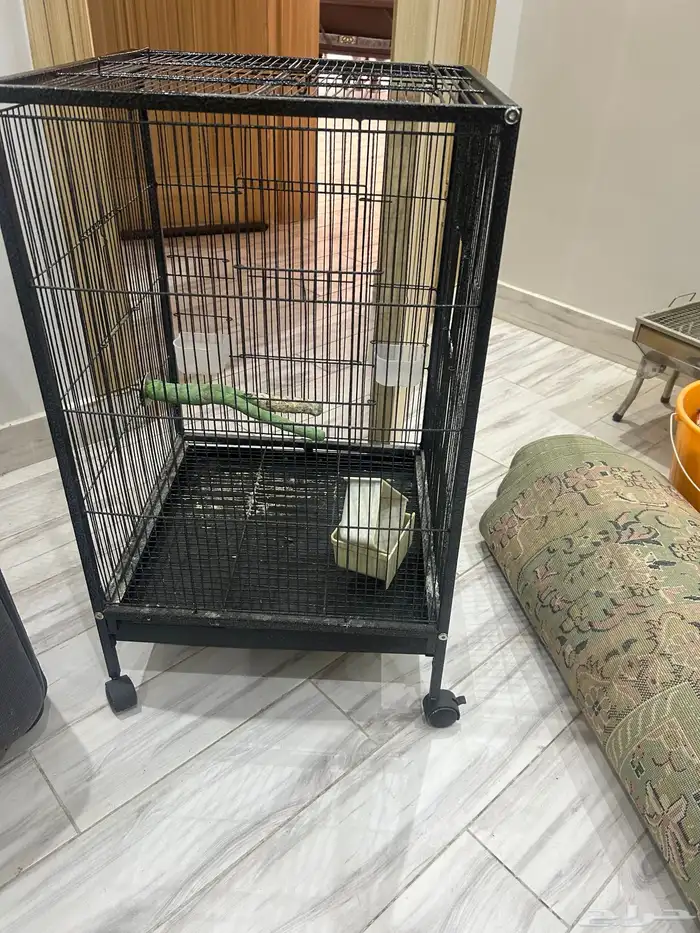 قفص بغبغاء 0