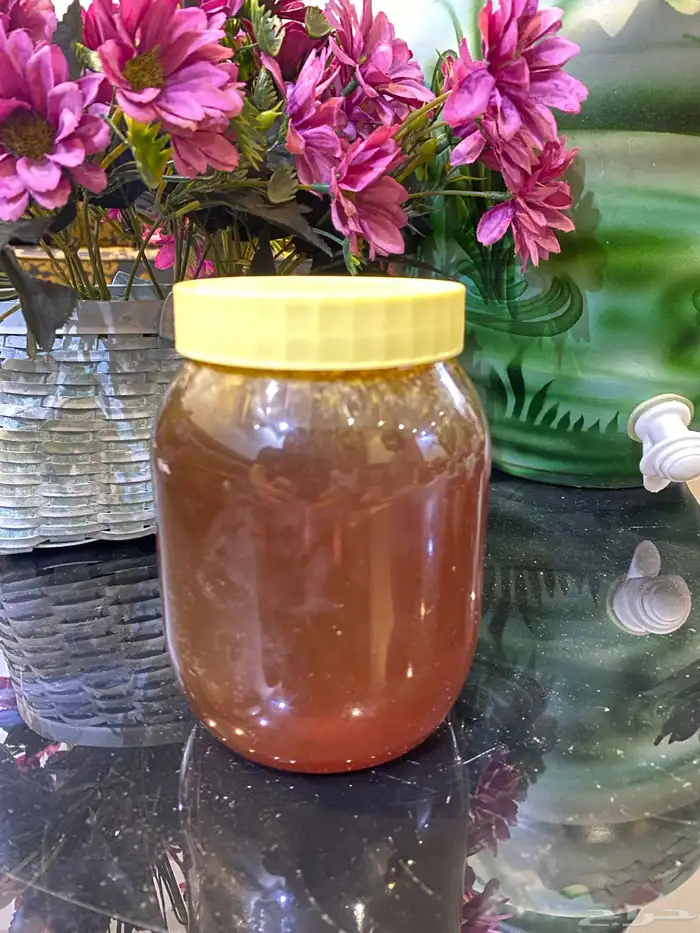 عسل سدر بلدي عسل سدر جنوبي اصلي شرط 0