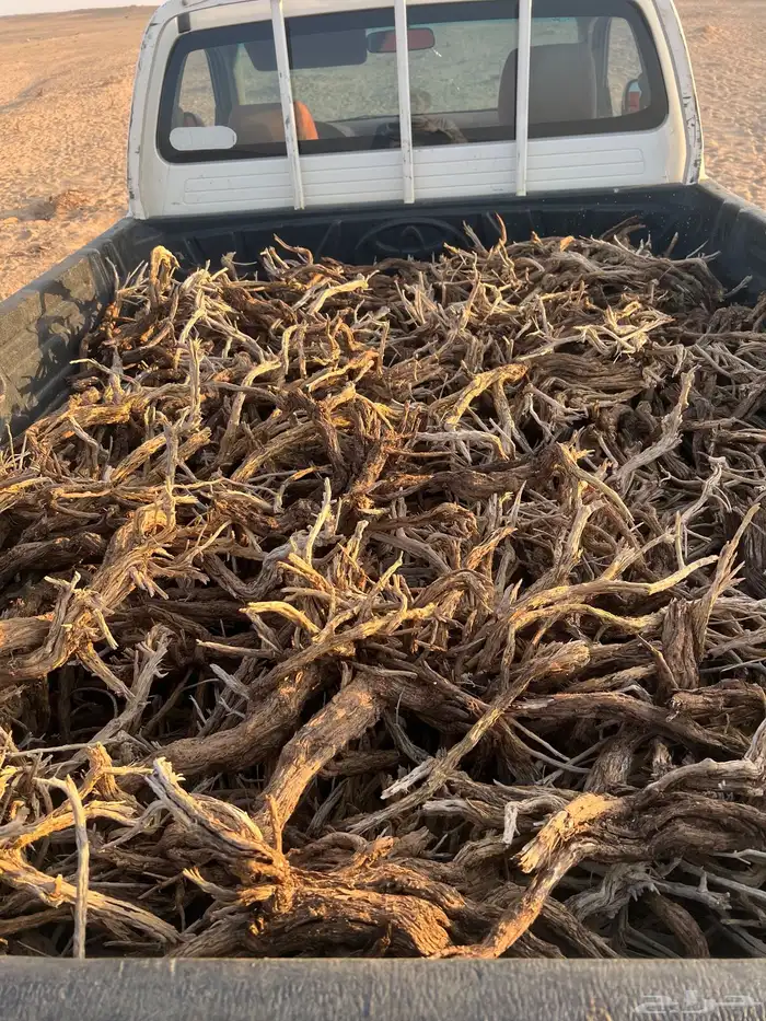 مسحه صندوق مستورد 2