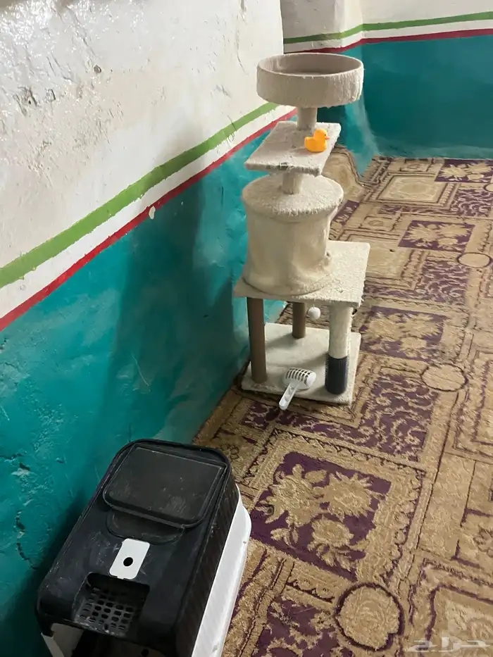 للبيع اغراض قطط 1