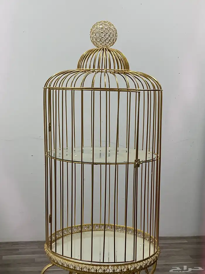 عربيه عروسه 0