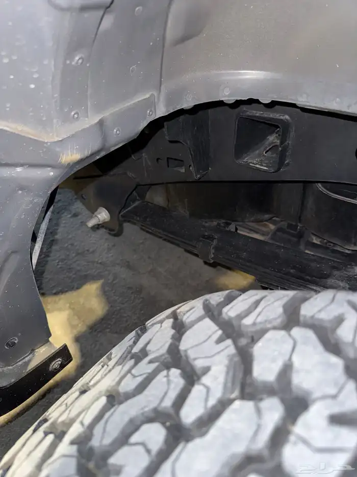 رابتر فورد F150 38