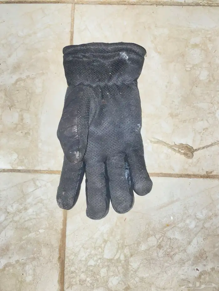 اغراض الصقور و الشبوط 1