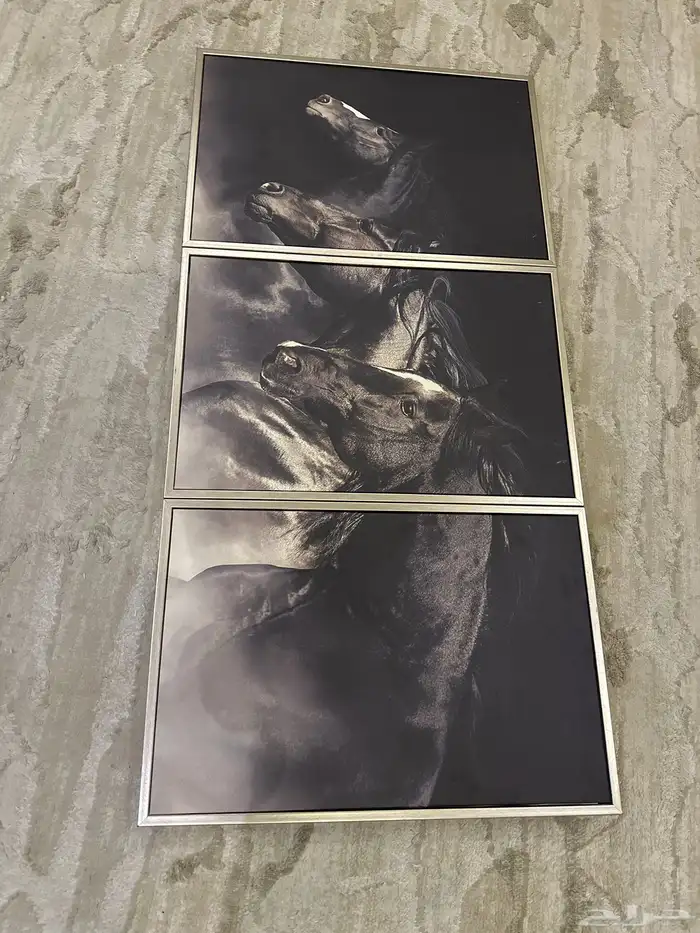 لوحة جديدة للبيع كبيرة 5