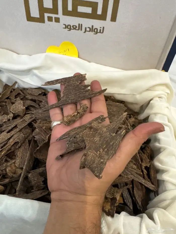 عود كاليمنتان بونتيانك تربل سوبر تخزين قديم طبيعي 100   100 3