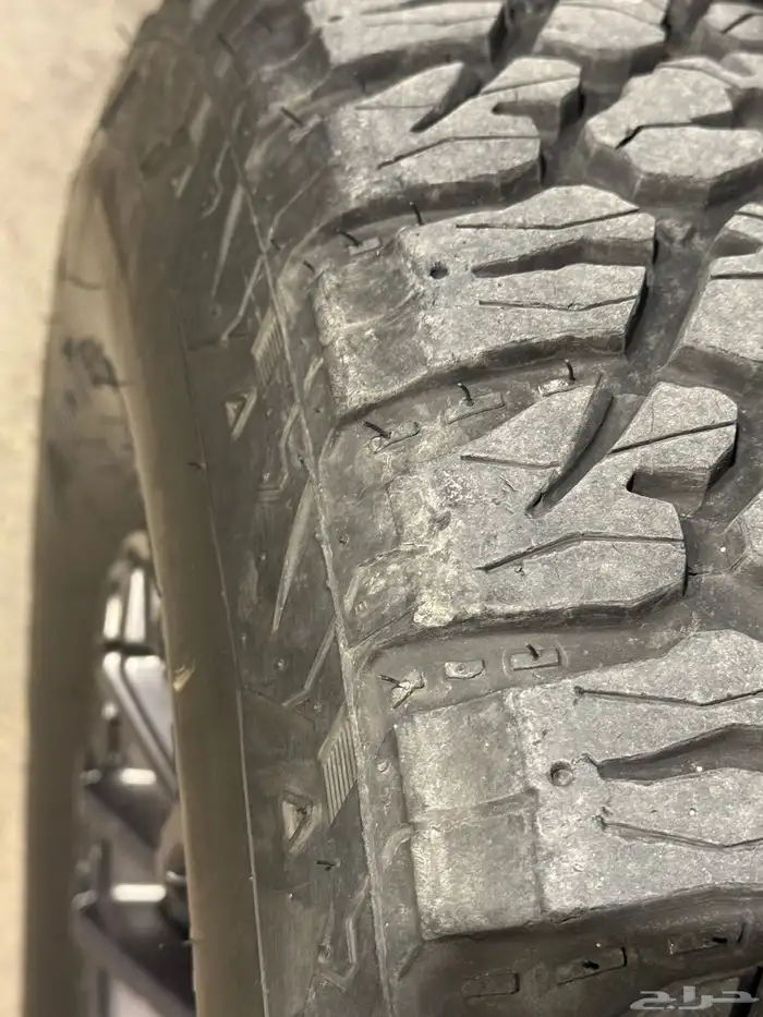 رابتر فورد F150 32