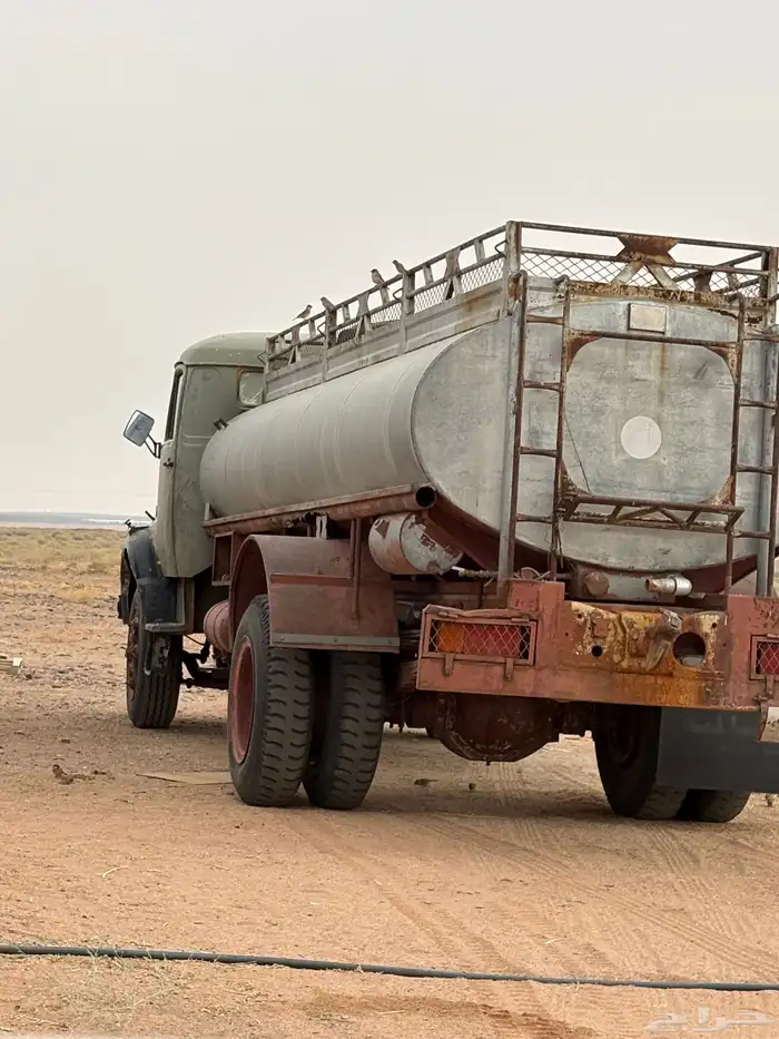 للبيع وايت حصنان شاص طويل 1