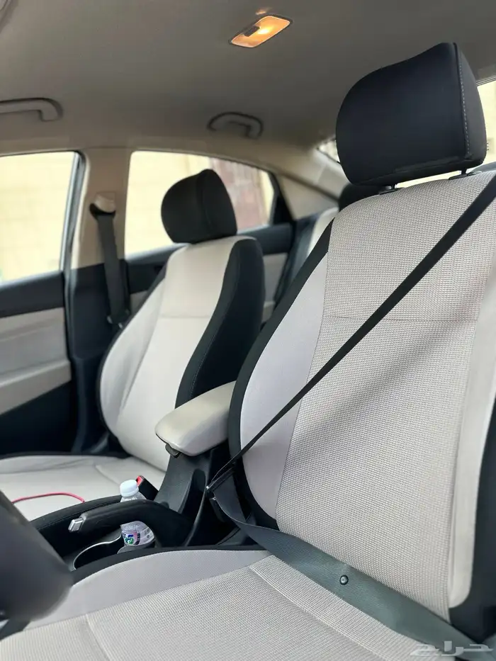 اكسنت 2023 الوعلان 17