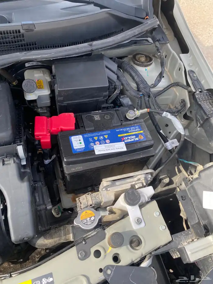 صني 23 فل نظيفة 12