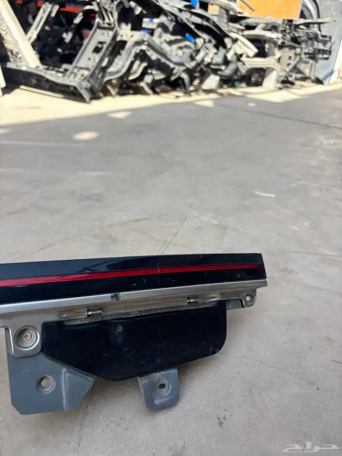 اسطب ازيرا 2024-2025 7