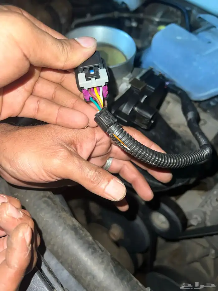 فيش تحويله ثروتل 1