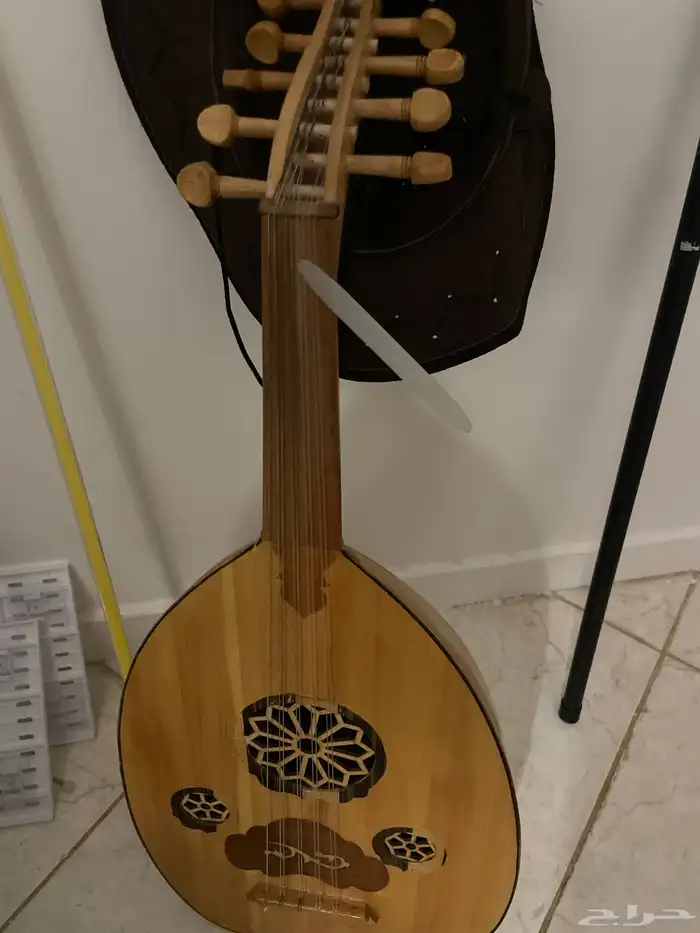 عود جديد للبيع 0