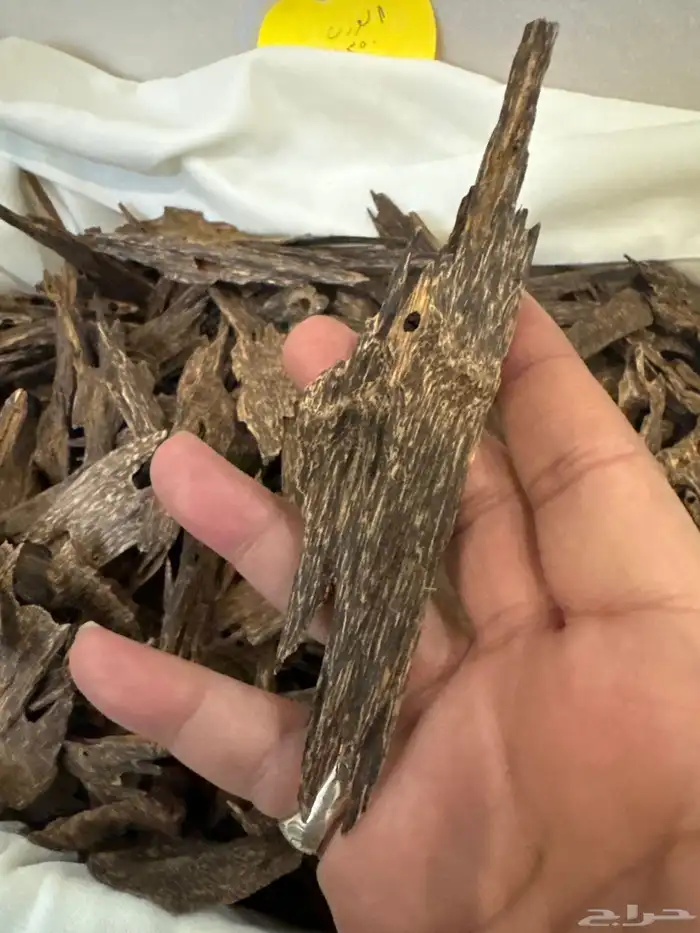 عود كاليمنتان بونتيانك تربل سوبر تخزين قديم طبيعي 100   100 6