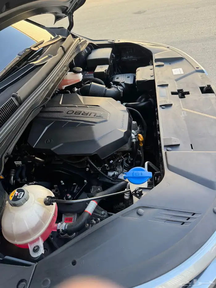 كرنفال 2021 ديزل 58