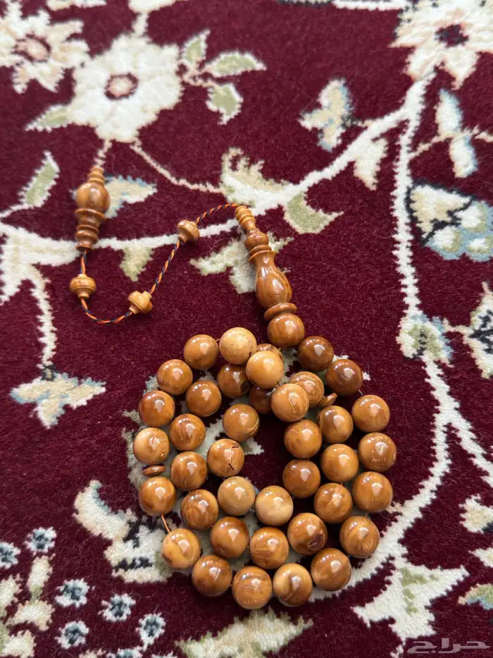 نوادر خراط فارس 5