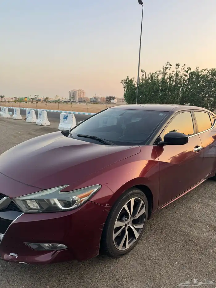 مكسيما 2016 ستاندر 1