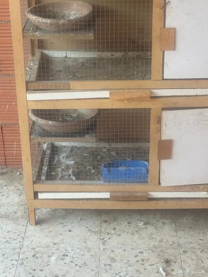 جواز حمام زينة 5