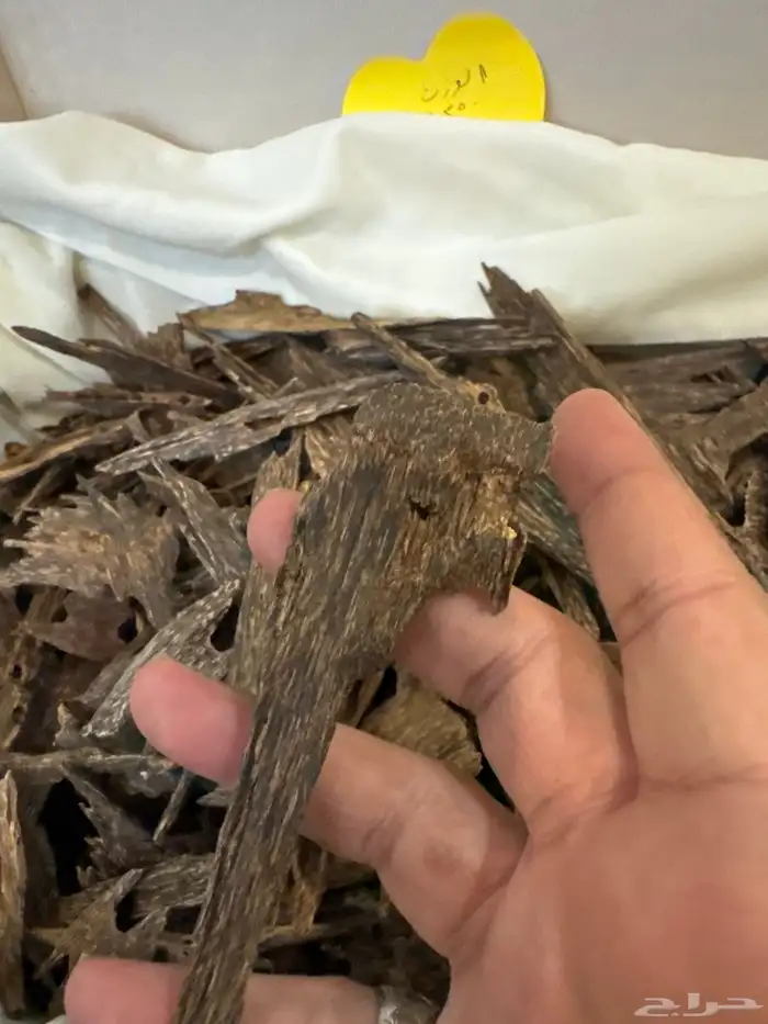 عود كاليمنتان بونتيانك تربل سوبر تخزين قديم طبيعي 100   100 7