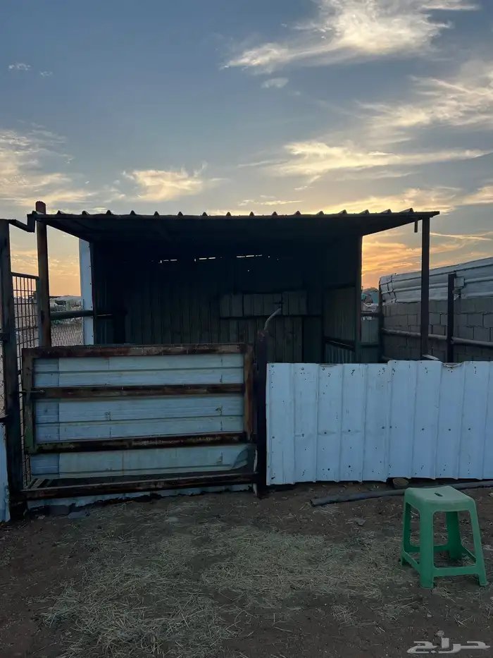 محل للبيع نضيف 5