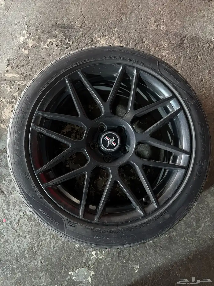 جنوط موستنج شلبي للبيع 1