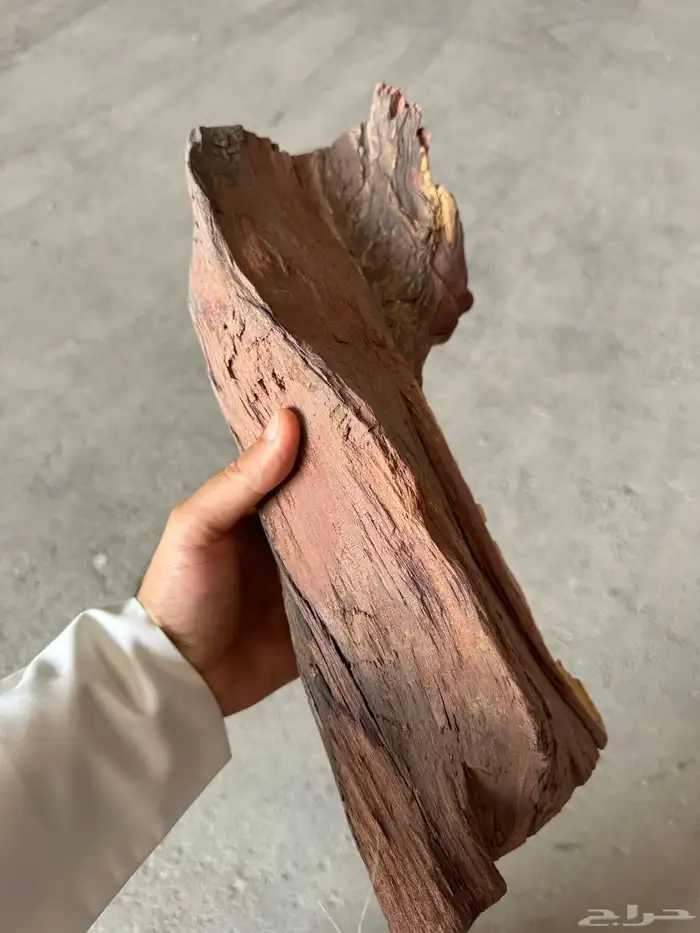 حطب سمر وقرض افريقي 0