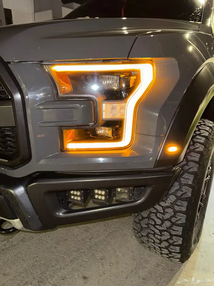 رابتر فورد F150 46