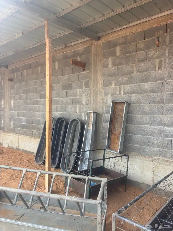 للبيع معالف غنم و معالف شعير 6