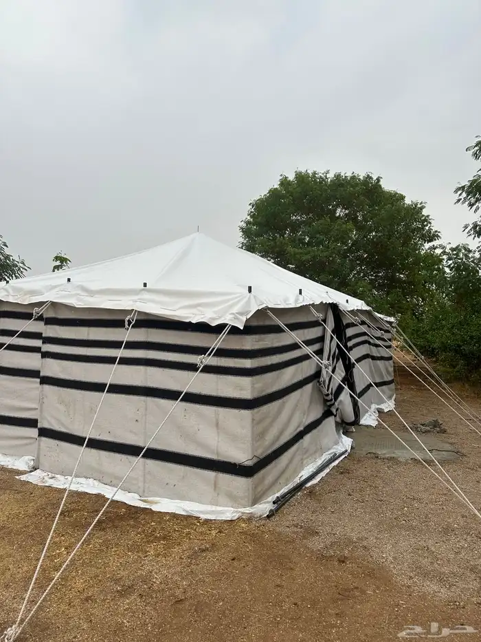 بيت شعر ابيض 4