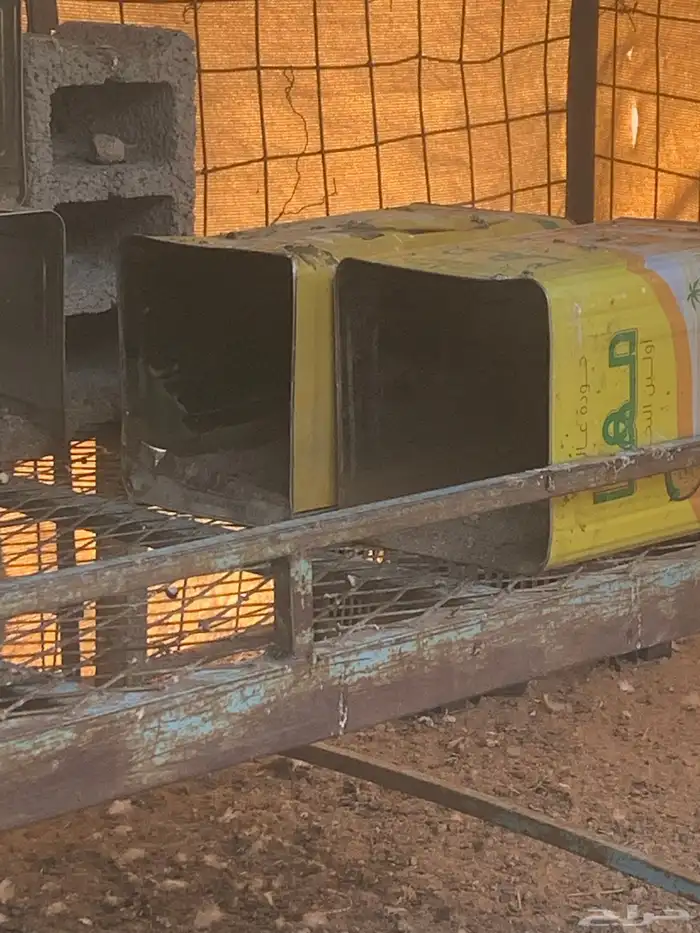 البيع صطول حمام 2